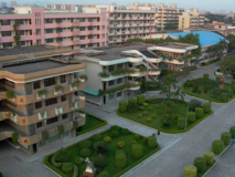 佛山南海鹽步專業(yè)殺白蟻公司：鹽步中學殺白蟻工程