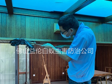 桂城花苑廣場(chǎng)治白蟻危害