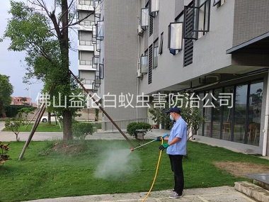 丹灶小區(qū)殺滅蚊蠅工程