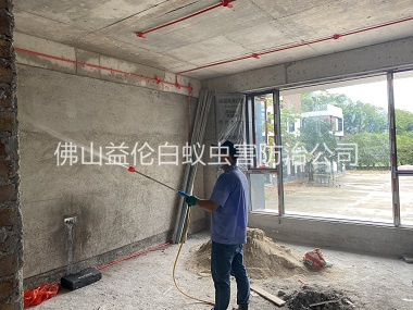 和順裝修白蟻預(yù)防工程
