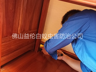 鹽步木質(zhì)家具白蟻防治工程