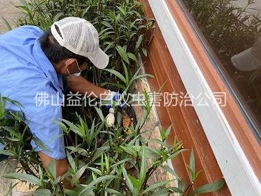 平洲園林綠化滅治白蟻工程