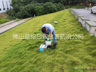 沙頭水利堤壩鼠害防控工程